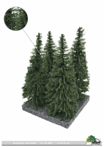 Background spruce (4 pcs.) 14-16 cm