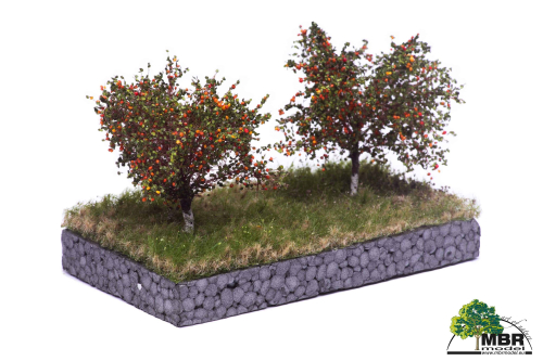 Apple trees with apples summer