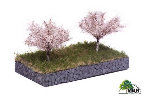 Apple trees in spring