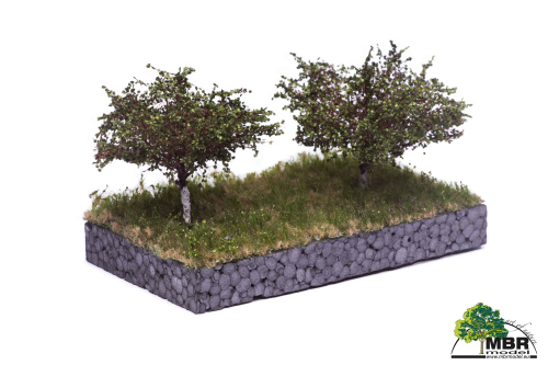 Apple trees without apples