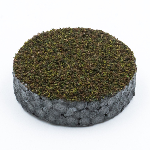 Micro-Turf – Forest floor coniferous forest