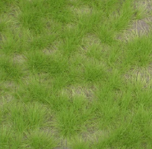 Long tufts (1:45+) spring