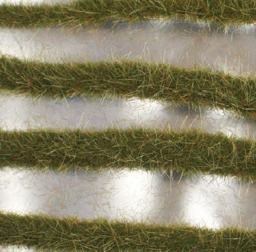 Two coloured grass strips (1:45+) early fall