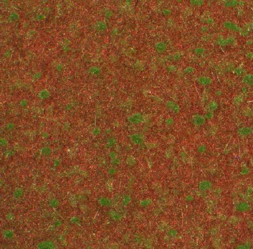 Forest groundcover (1:87) summer