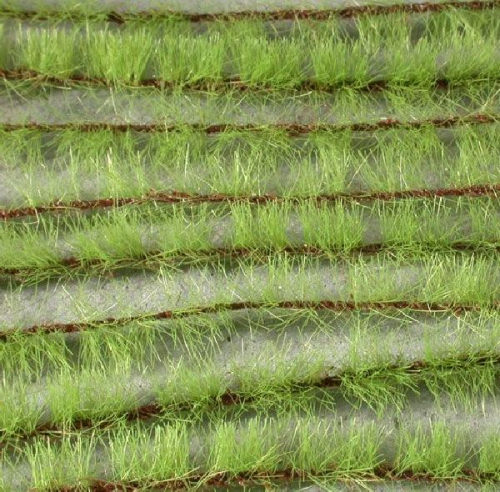 Agricultural strips (1:45+) spring