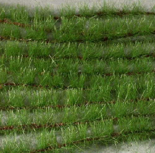 Agricultural strips (1:45+) summer