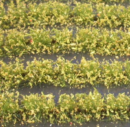 Flower field strips (1:87) yellow