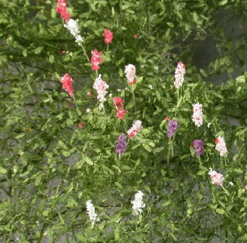 Lupines (1:87)  summer
