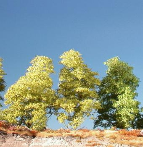 Filigree bush (1:160-220) spring