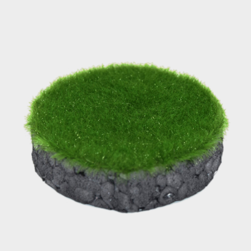 Grass flock – early summer