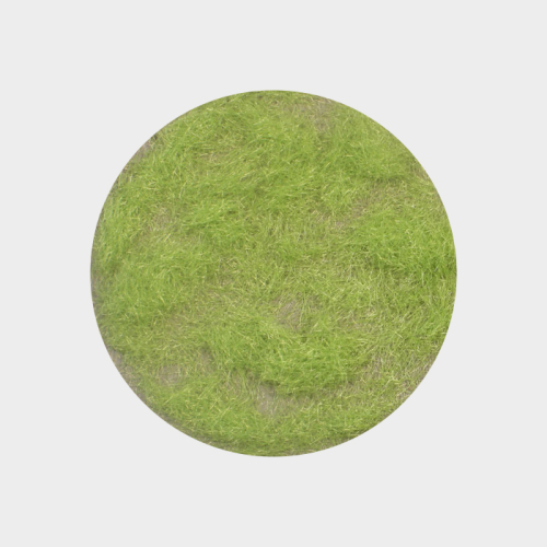 Gras-Flock Frühling