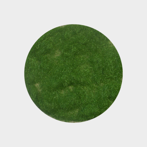 Grass flock summer