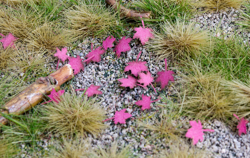 Ahorn - trockene Blätter