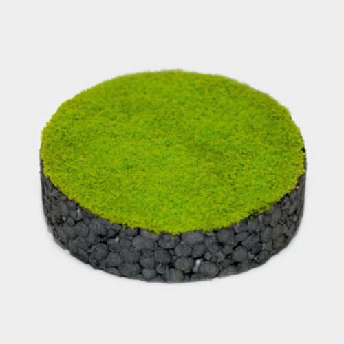 Micro Turf – spring