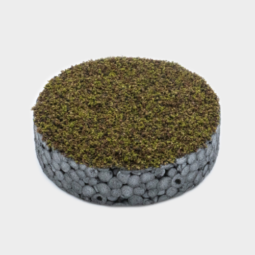 Micro-Turf – Forest floor deciduous forest